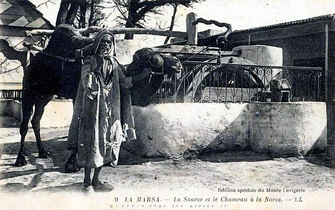 Puits typiques d'AFN - 100.jpg